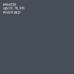 #464E59 - River Bed Color Image